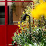 Projetor de caminho Ealing Bronze a emergir de um canteiro de flores com uma porta vermelha atrás. 